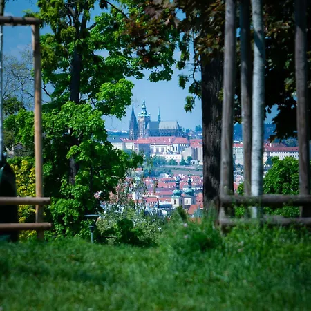 In Prague's Local Area Prag